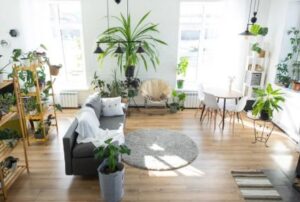 Vertical planting Ideas in a Studio Apartment
