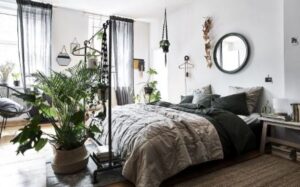 Plants in a rented home