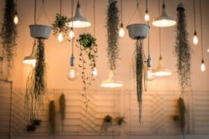 energy efficient lighting for eco-friendly decor