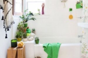 Bathroom decor ideas without renovation with plants