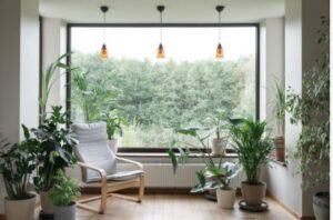budget friendly eco friendly decor for sustainable living